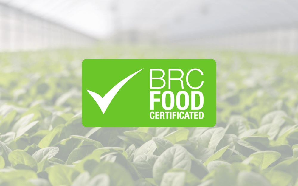 Curso interno de auditor BRCGS Food Safety v.9